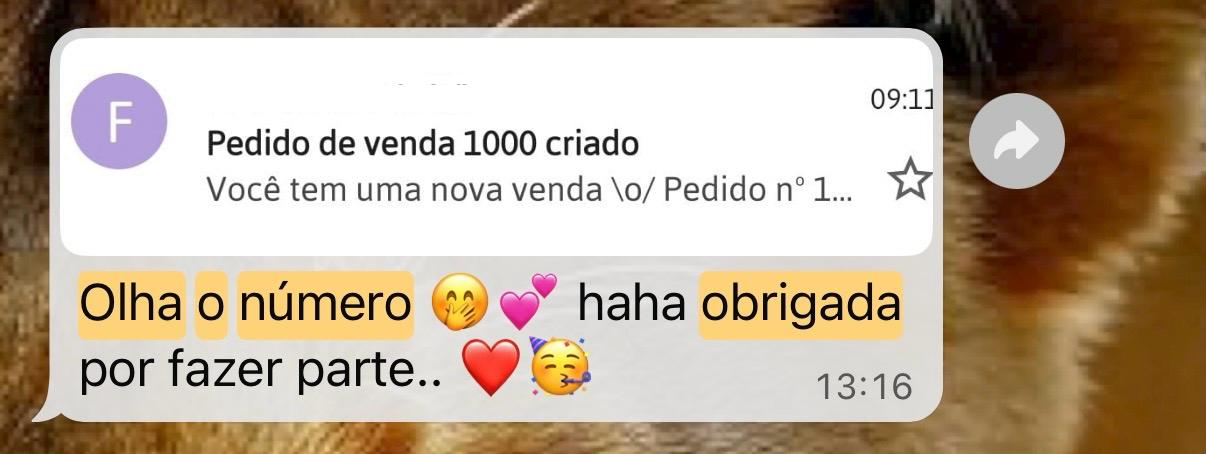 Depoimento: pedido de venda número 1000